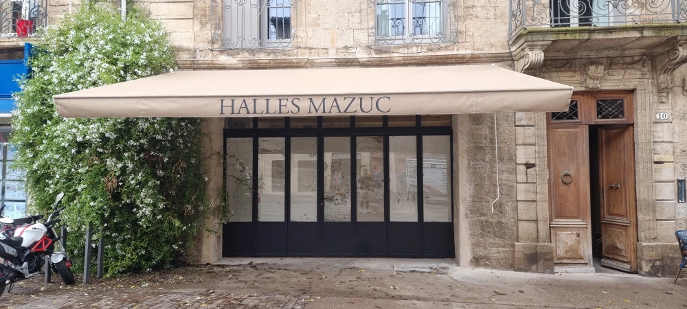 Store banne ouvert avec lambrequin personnalisé ref 106f